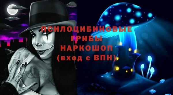 твердый Новодвинск