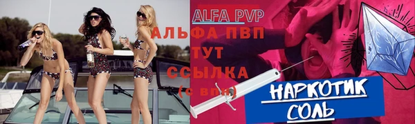 гашик Няндома