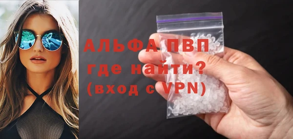 твердый Новодвинск
