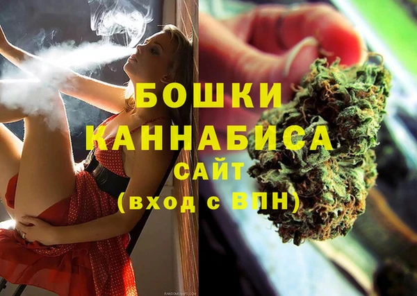 твердый Новодвинск