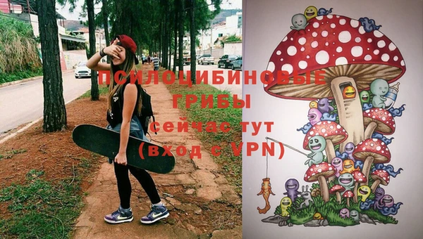 гашик Няндома