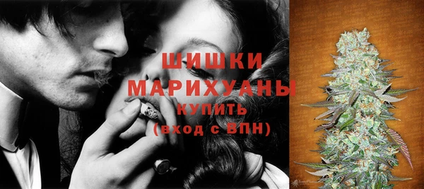 гашик Няндома