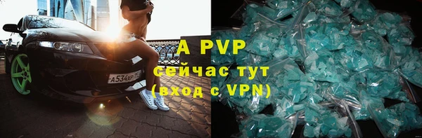 твердый Новодвинск