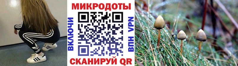 где купить наркоту  Каневская  МЕГА ТОР  Псилоцибиновые грибы Psilocybine cubensis 